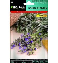 SEMILLAS LAVANDA 1GR
