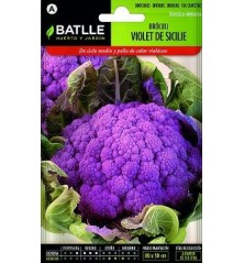 SEMILLAS BROCOLI VIOLETA SICILIA 4GR