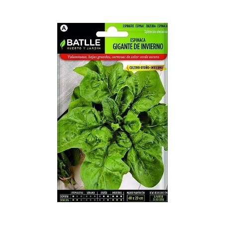 SEMILLAS ESPINACA GIGANTE DE INVIERNO 15GR