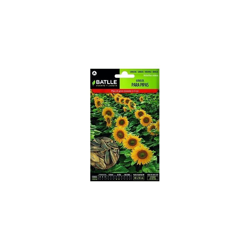 SEMILLAS GIRASOL PARA PIPAS 5-7GR