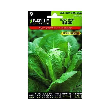 SEMILLAS LECHUGA ROMANA INVERNA SUPERINVERNA 6GR