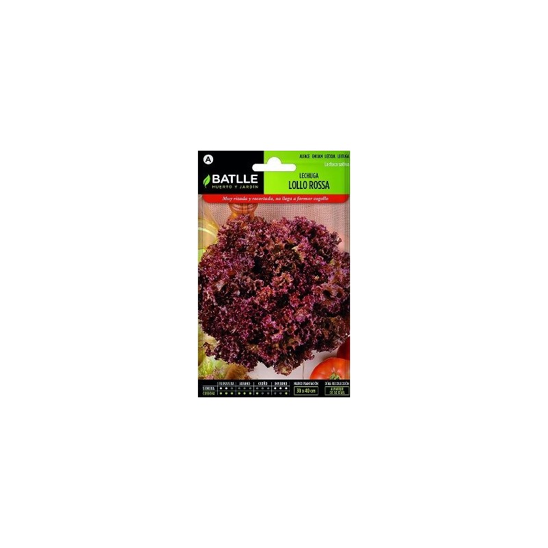 SEMILLAS LECHUGA LOLLO ROSSA 5GR