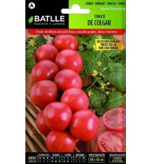 SEMILLAS TOMATE COLGAR DOMINGO 1GR