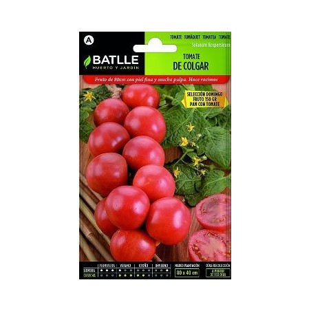 SEMILLAS TOMATE COLGAR DOMINGO 1GR