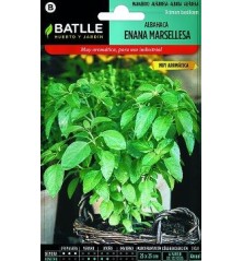 SEMILLAS ALBAHACA ENANA MARSELLESA 0.5GR
