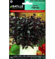 SEMILLAS ALBAHACAPURPURA 2GR