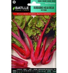 SEMILLAS RUIBARBO HOJA ROJA VICTORIA 1GR