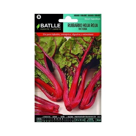 SEMILLAS RUIBARBO HOJA ROJA VICTORIA 1GR