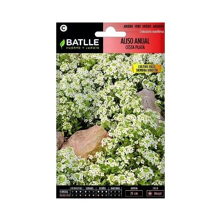 SEMILLAS ALISO CESTA DE PLATA 2,5GR