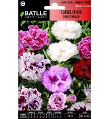 SEMILLAS CLAVEL CHINO DOBLE FLOR GRANDE 2GR
