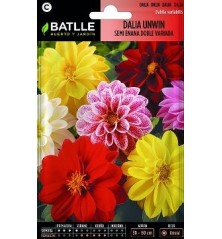 SEMILLAS DALIA UNWIN 2GR
