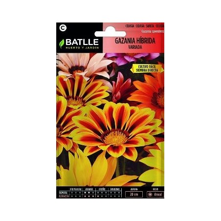 SEMILLAS GAZANIA HIBRIDA 0,4GR