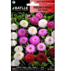SEMILLAS MARGARITA DE LOS PRADOS DOBLE GRANDE 0.6G
