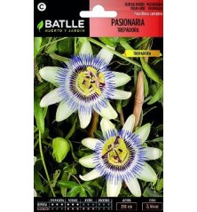 SEMILLAS PASIONARIA TREPADORA BLANCA 0.6GR