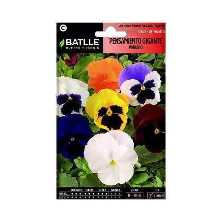 SEMILLAS PENSAMIENTO GIGANTE VARIADO 0.5GR