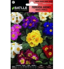 SEMILLAS PRIMAVERA DE JARDINES PRIMULA 0.25GR