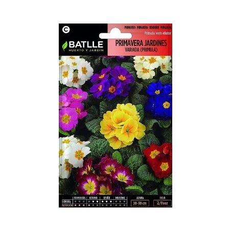 SEMILLAS PRIMAVERA DE JARDINES PRIMULA 0.25GR