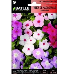 SEMILLAS VINCA DE MADAGASCAR 0.4GR