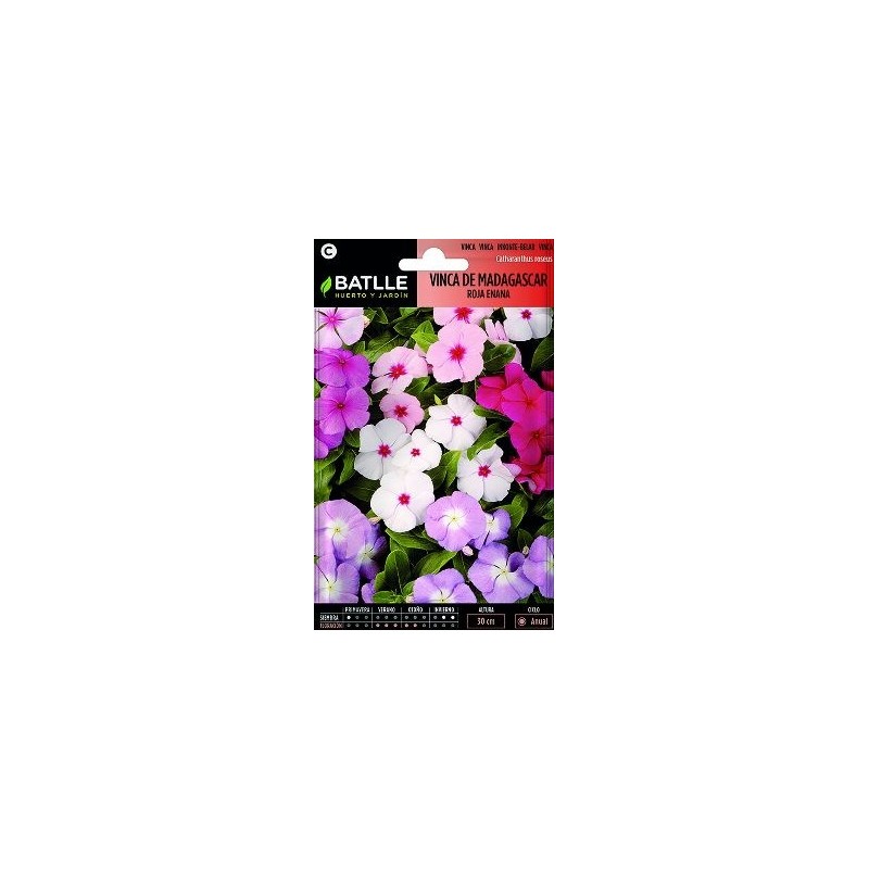 SEMILLAS VINCA DE MADAGASCAR 0.4GR