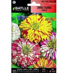 SEMILLAS ZINNIA TIGRINA VARIADA 2GR