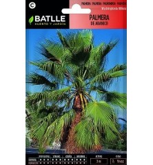 SEMILLAS PALMERA DE ABANICO 3UDS