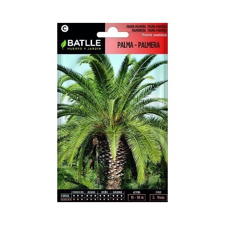 SEMILLAS PALMA PALMERA 3UDS