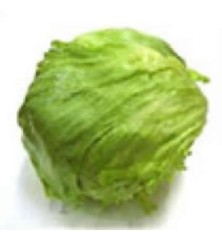 LECHUGA ICEBERG PRODUCTO NATURAL BANDEJA 6 PLANTO