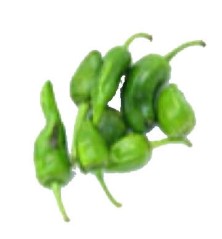 PIMIENTO PADRON BANDEJA 6 PLANTONES