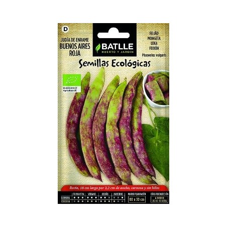 SEMILLAS ECOLOGICAS JUDIA ENRAME BUENOS AIRES ROJA