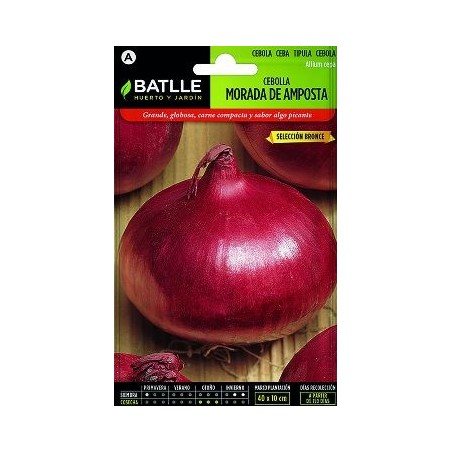 SEMILLAS CEBOLLA MORADA AMPOSTA 4GR