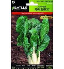 SEMILLAS ACELGA PENCA BLANCA 10GR