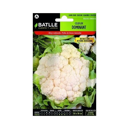SEMILLAS COLIFLOR DOMINANT BLANQUITA 3GR