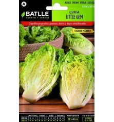 SEMILLAS LECHUGA COGOLLO 7GR