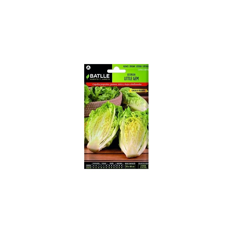 SEMILLAS LECHUGA COGOLLO 7GR