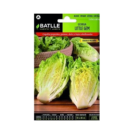 SEMILLAS LECHUGA COGOLLO 7GR