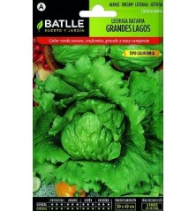 SEMILLAS LECHUGA TIPO ICEBER 6GR