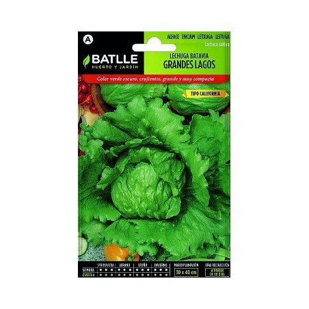 SEMILLAS LECHUGA TIPO ICEBER 6GR