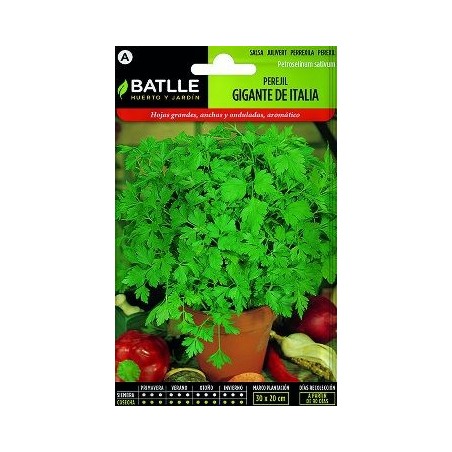 SEMILLAS PEREJIL GIGANTE/HOJA LISA 2 12GR