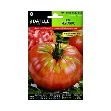 SEMILLAS TOMATE TRES CANTOS GIGANTE ROSA 1GR