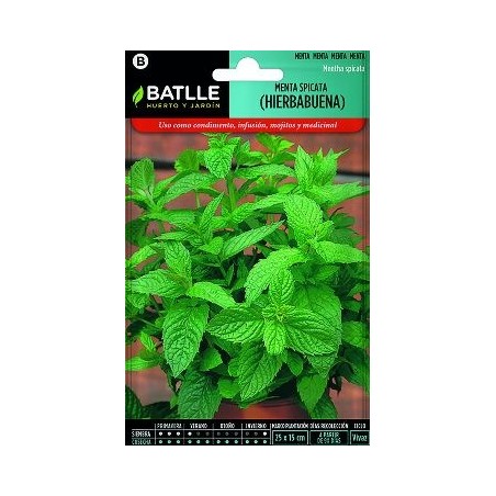 SEMILLAS MENTA SPICATA HIERBABUENA 0,2GR
