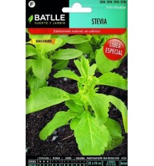 SEMILLAS STEVIA 35 SEMILLAS