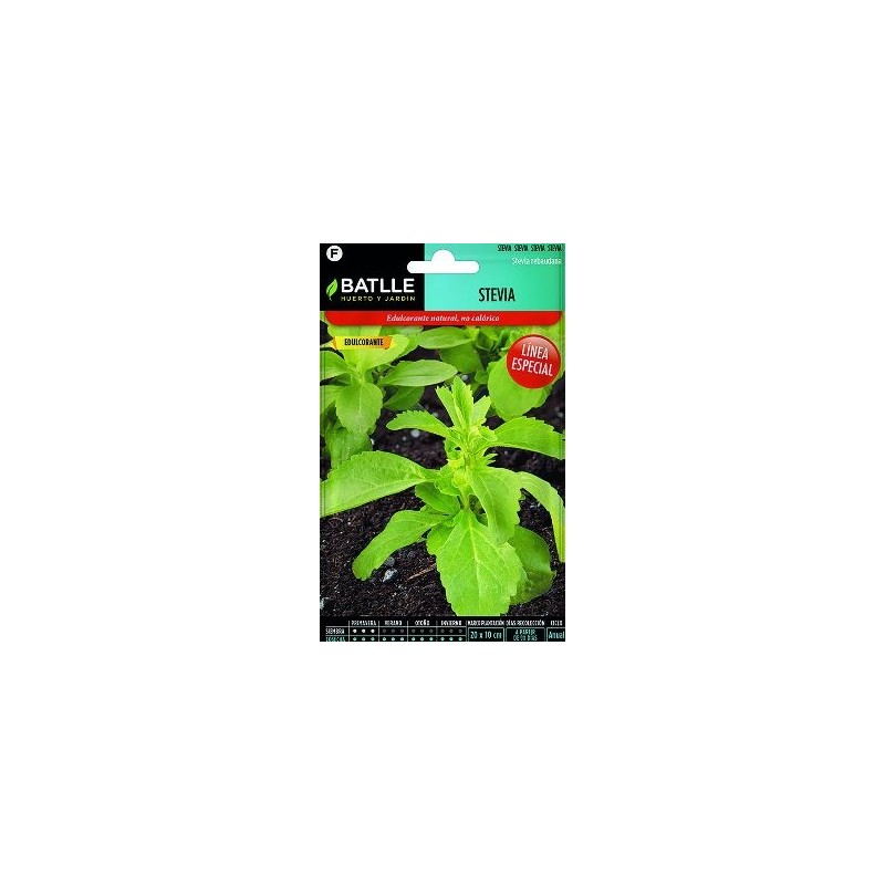 SEMILLAS STEVIA 35 SEMILLAS