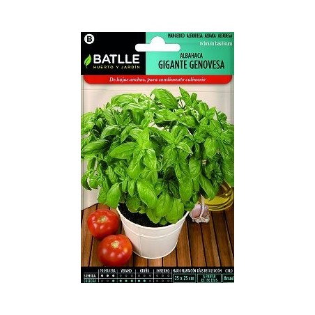 SEMILLAS ALBAHACA GIGANTE GENOVESA 4GR