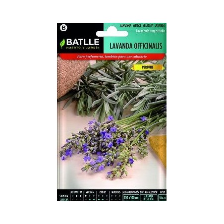 SEMILLAS LAVANDA 1GR