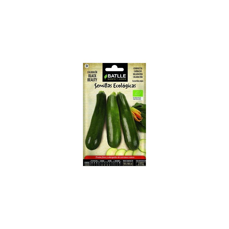 SEMILLAS ECOLOGICAS CALABACIN BLACK BEAUTY 4GR