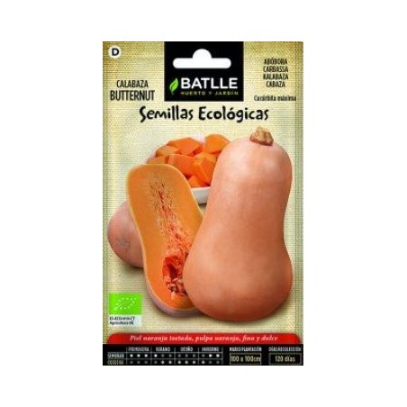 SEMILLAS ECOLOGICAS CALABAZA BATTERNUT 4GR
