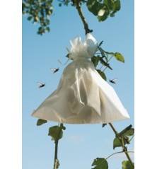 BOLSA PROTECCION FRUTA 20X30CM 50UDS