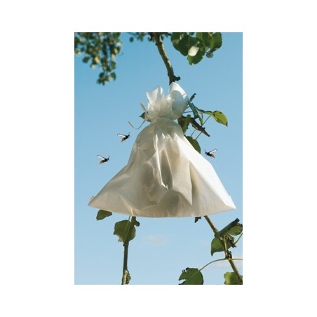 BOLSA PROTECCION FRUTA 20X30CM 50UDS