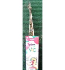 ARANDANO ROJO MACROCARPON CRANBERRY BLACK 2L