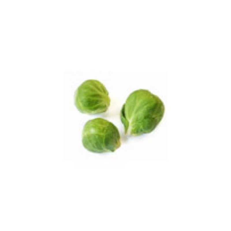 COL DE BRUSELAS ECOLOGICA BANDEJA 6 PLANTONES